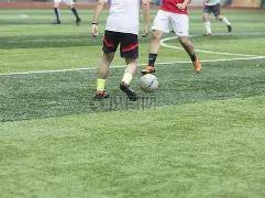 李金羽携手,国脚级中场,翘楚,彩5彩票,彩票平台,彩票预测,在线投注,彩票分析